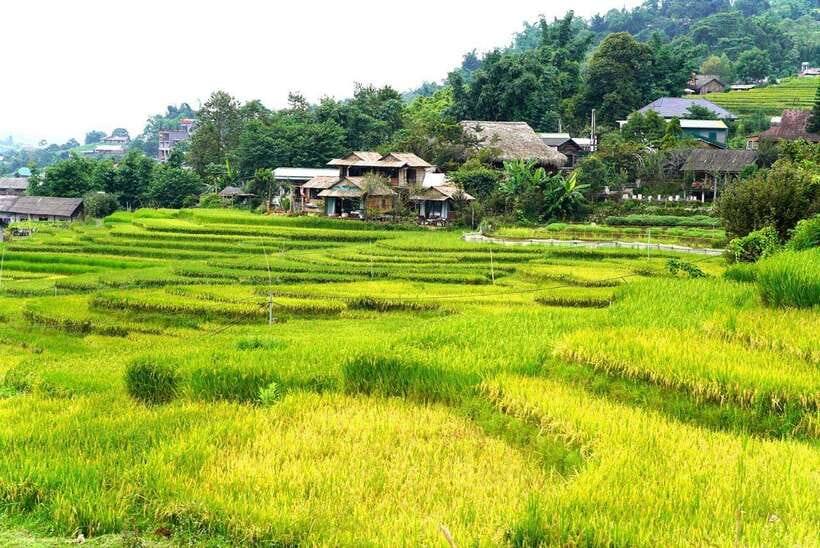 From Sapa Visit Lao Chai/Ta Van/Giang Ta Chai Sleep Homestay