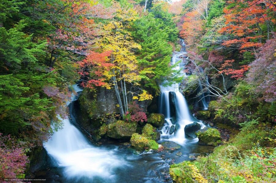 From Tokyo: Explore Nikko in a One Day, Shrine, Waterfall