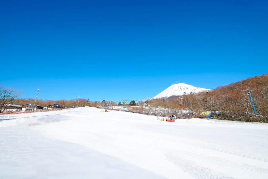 From Tokyo : Fujiyama Snow Resort Yeti Day Tour - Tour Overview