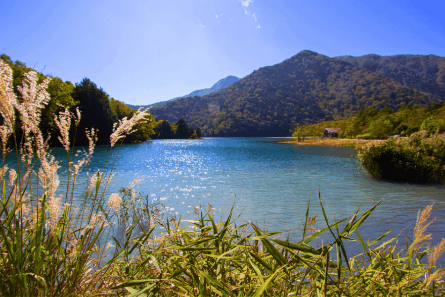 From Tokyo: Full-Day Private Nikko Highlights Tour