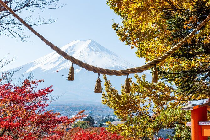 From Tokyo: Mount Fuji Highlights Tour With Kawaguchi Lake Cruise