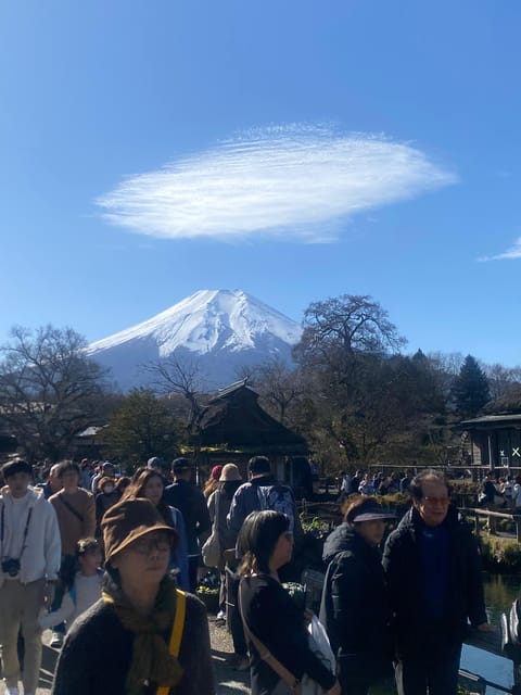 From Tokyo: Mount Fuji Private Day Trip With Pickup