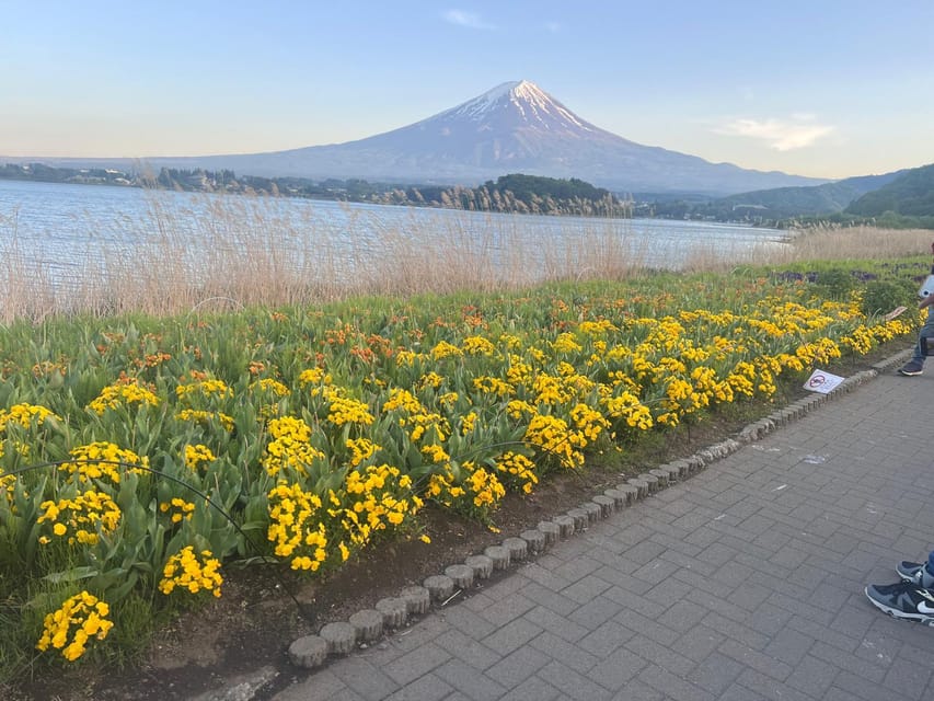 From Tokyo: Mount Fuji Private Tour With a Driver/Guide