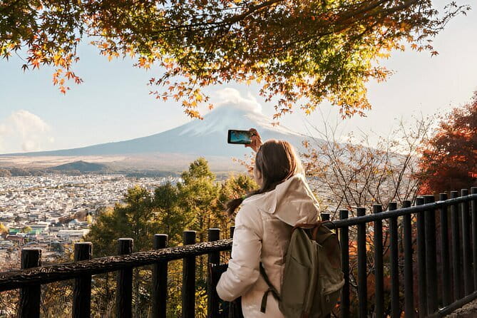 From Tokyo: Mt Fuji and Hakone Private Day Trip