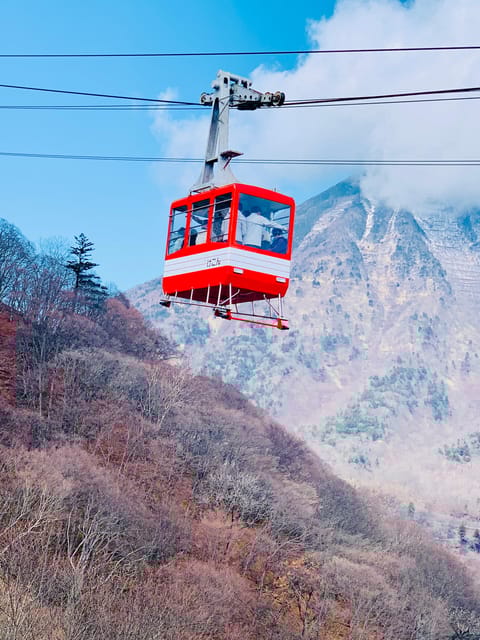From Tokyo: Mt. Fuji Customizable Full Day Private Tour