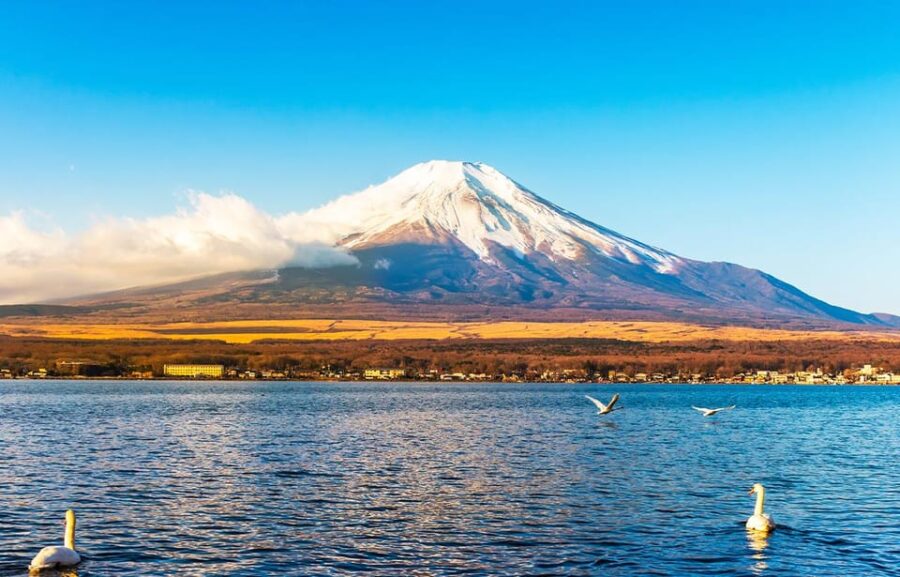 From Tokyo: Mt.Fuji, Lake Kawaguchi and Yamanaka Day Tour - Tour Overview and Pricing