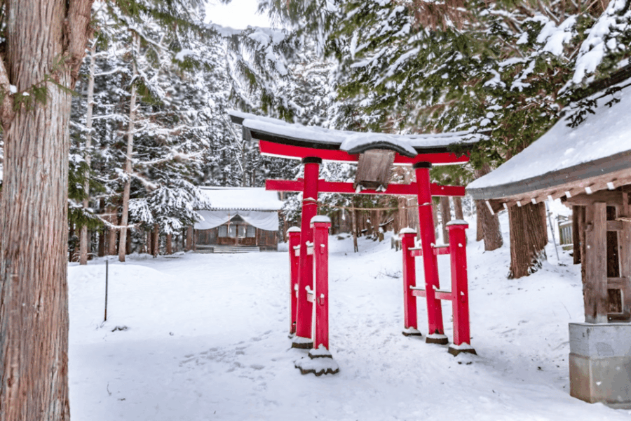 From Tokyo: Nagano, Monkeys, Zenkoji Temple Private Day Trip