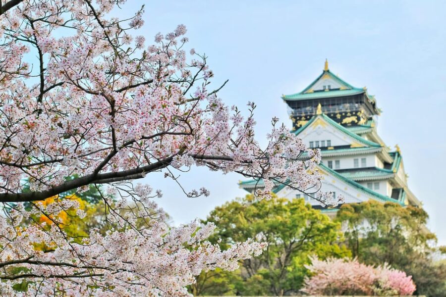 From Tokyo: Tokyo, Kyoto, Osaka, & Nikko Private 7-Day Tour
