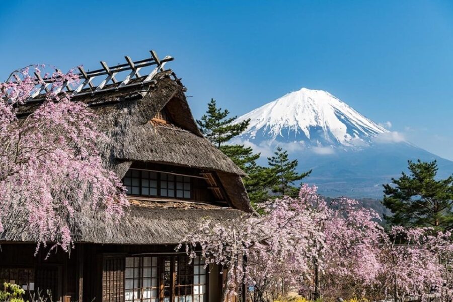From Tokyo:Mount Fuji Top 4 Must-Visit Attractions Day Tour