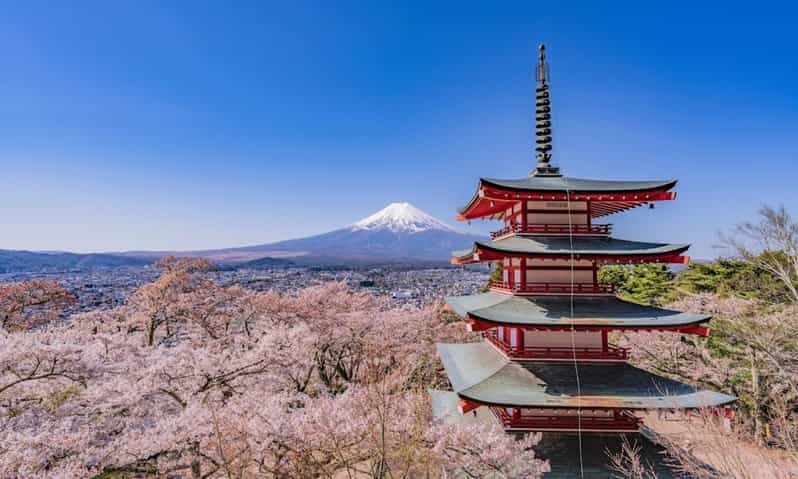 From Tokyo:Mt.Fuji &Hakone Trip With English Speaking Guide