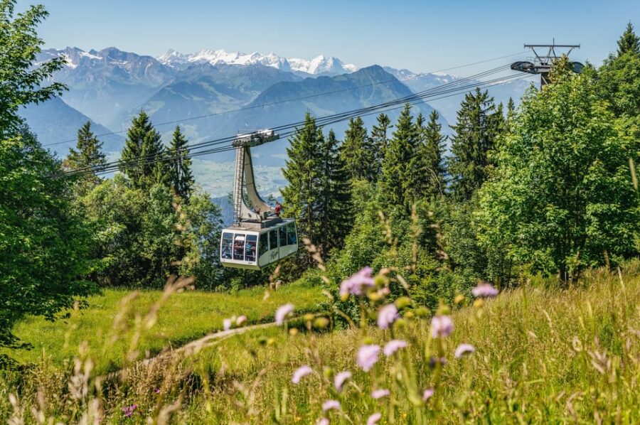 From Zurich: Mount Rigi and Lucerne Small-Group Day Trip - Itinerary Highlights