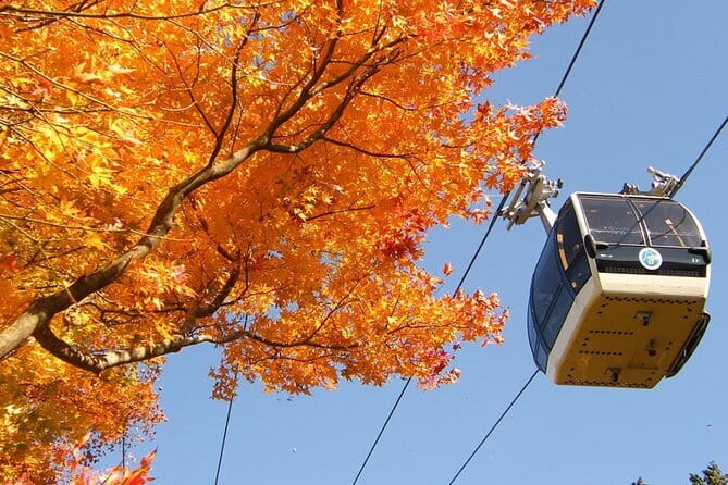 Fuji Day Trip to Hakone Pirate Boat Ropeway Gotemba Outlets