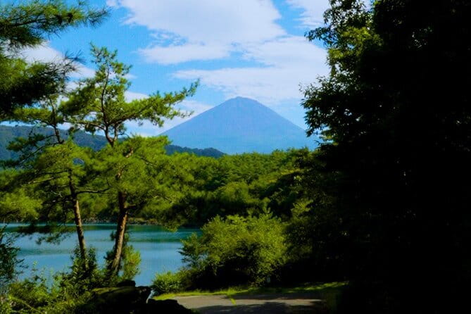 Fuji Photo Tour