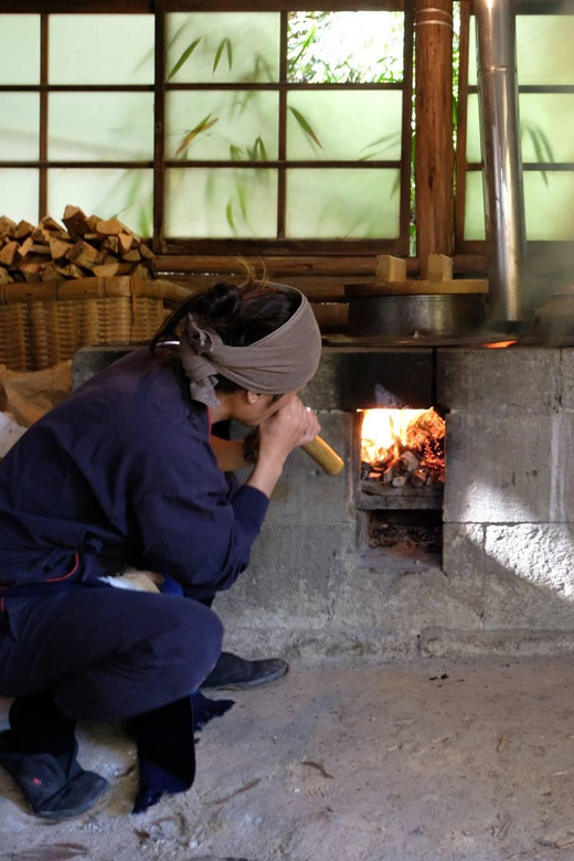 Fujieda: Suisha-mura Traditional Japanese Cooking Experience
