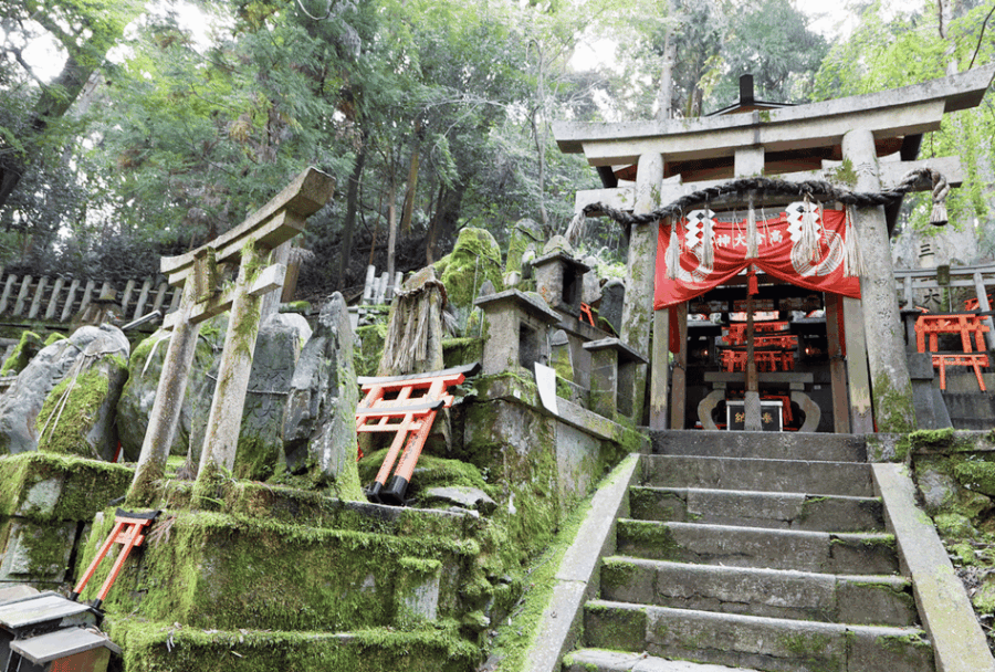 Fukuoka Tour: Demon Slayer-Inspired With Shrine Visits