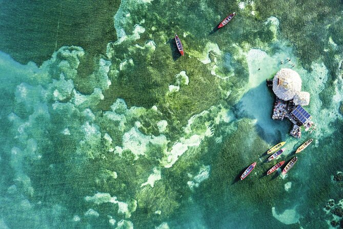 Full Day Appleton Rum YS Falls & Pelican Bar Group Tour