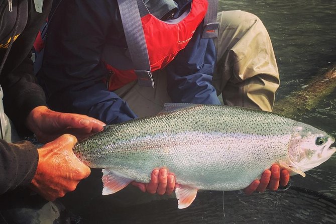Full Day Fishing Trips