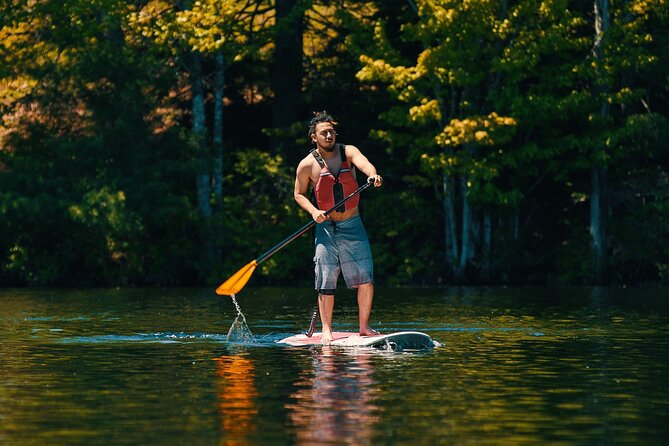 Full Day Paddleboard Rental in Acadia National Park