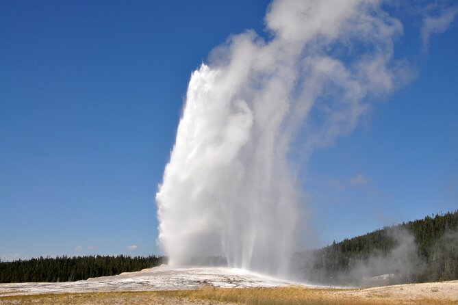 Full Day Private Guided Tour in Yellowstone National Park