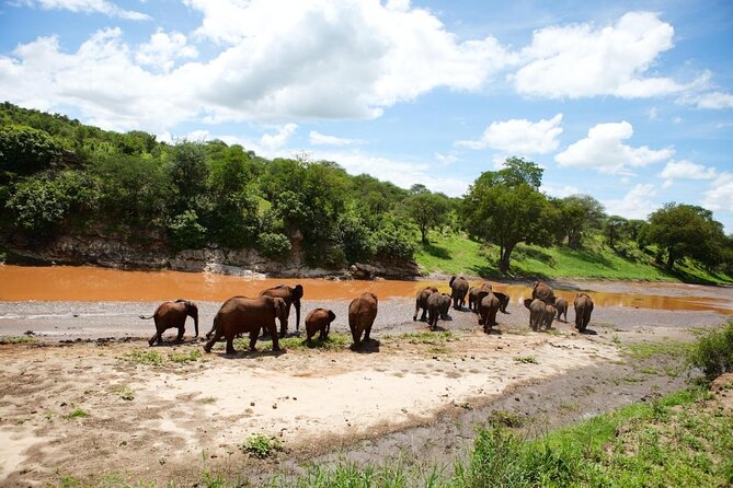 Full Day Private Safari – Tarangire National Park