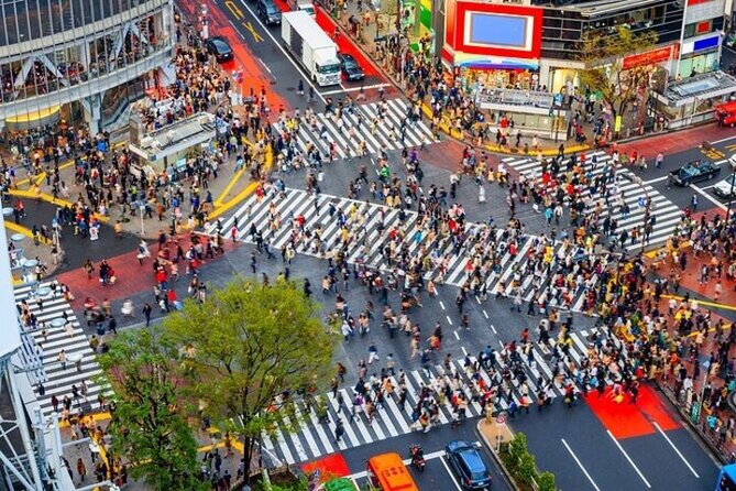 Full Day Private Tokyo Sightseeing Tour