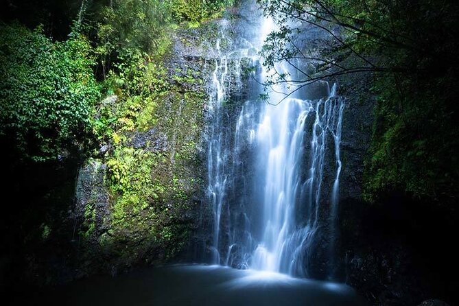 Full Day Small Group Tour of Maui Waterfall, Beach and Hana