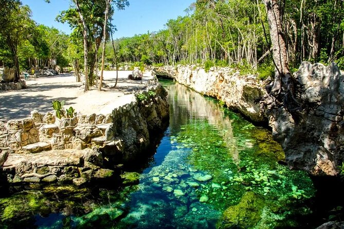 Full Day Tour to 5 Magical Cenotes in the Riviera Maya