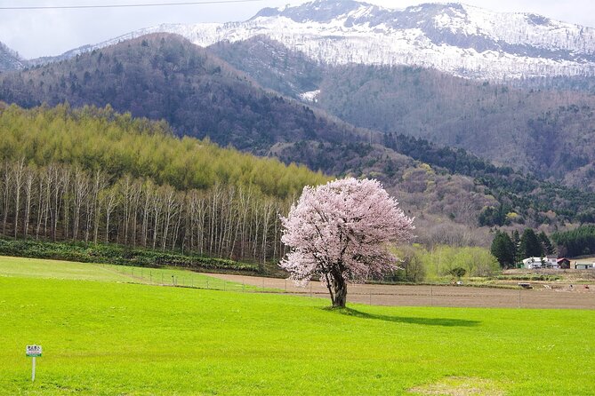 Furano Private Customizable Half Day Tour