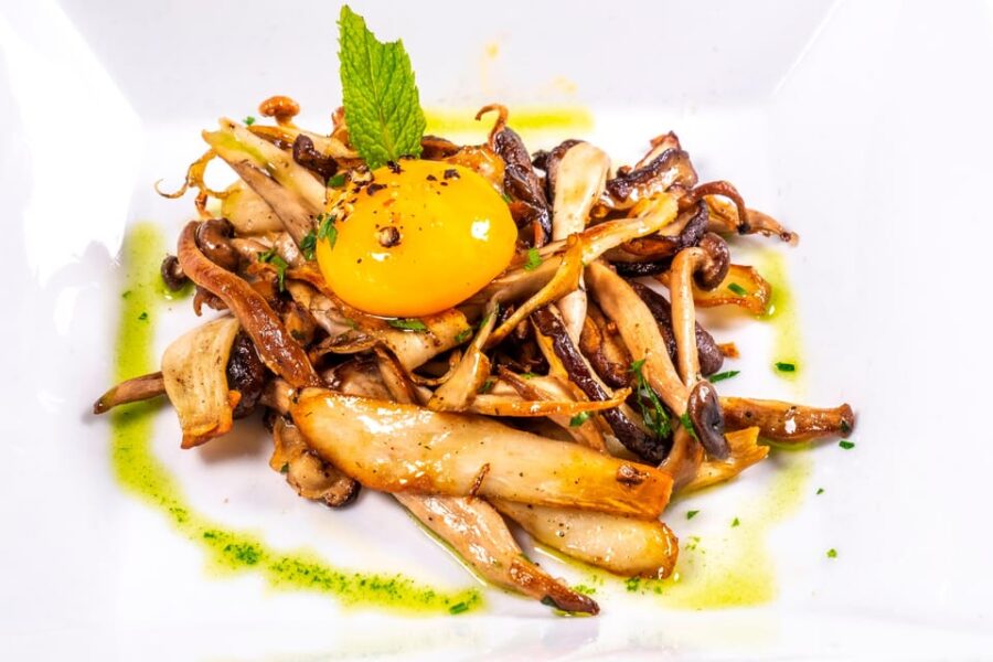 GASTRONOMIC MUSHROOM EXPERIENCE. Tour Not Included
