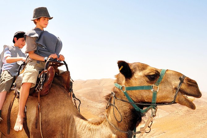 GoKEDEM Masada, DeadSea Camel Ride & Beduin Feast Tour From Tel Aviv