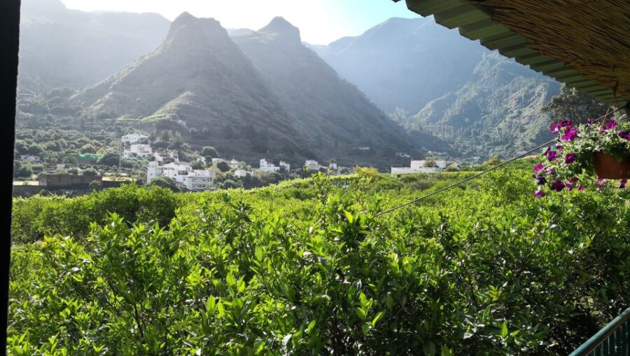 Gran Canaria: Grand Island Tour by Bus With Transfers - Tour Overview and Pricing