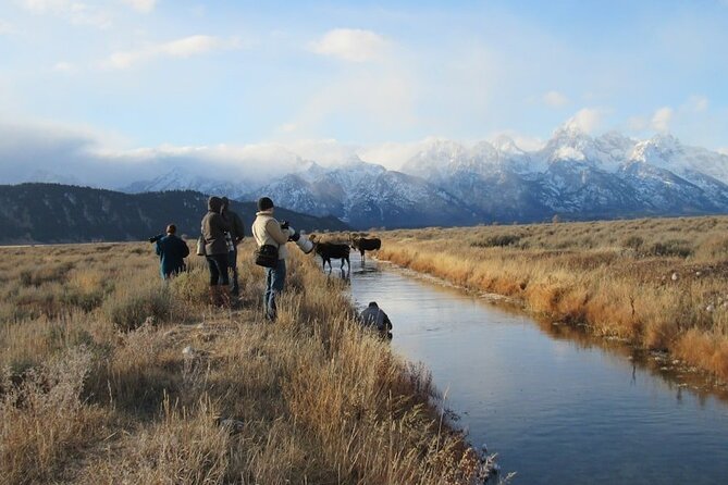Grand Teton and Its Wildlife: Private Guided Tour - Tour Overview