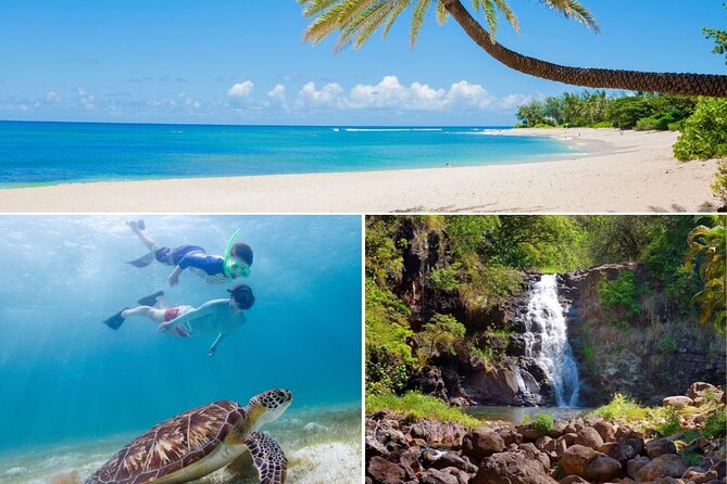 Grand Tour Around Oahu- Swim at Waterfall & Turtle Beach