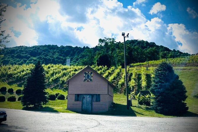 Grandfather Mountain Private Wine & Dine Tour From Asheville - Overview of the Tour