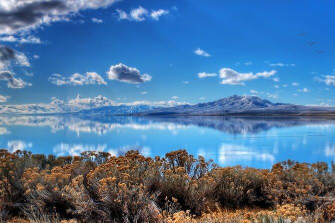 Great Salt Lake and Antelope Island Day Tour - Tour Overview