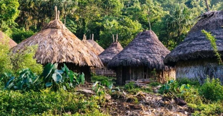 Group Expedition to the Lost City: Archaeological Treasure