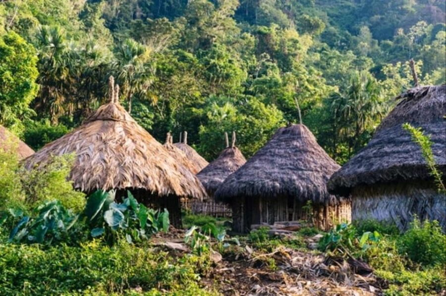 Group Expedition to the Lost City: Archaeological Treasure