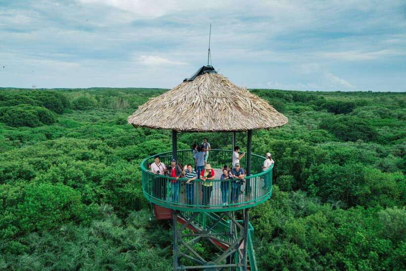 GROUP TOUR CAN GIO MANGROVE FOREST – MONKEY ISLAND FULL DAY