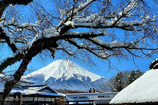 Guided 2 Days Tour Tokyo ,Mt Fuji and Hakone GREEN NUMBER PLATES