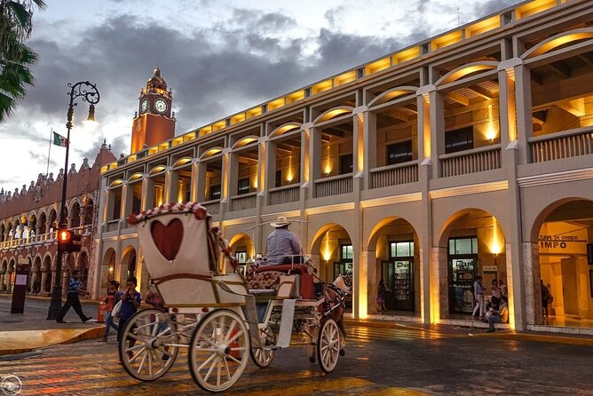 Guided Bus Tour of the City of Mérida - Tour Highlights