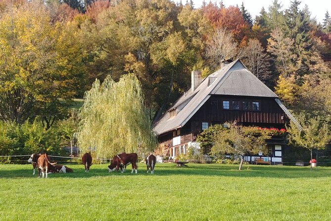 Guided Cider Tasting - Meeting and Schedule