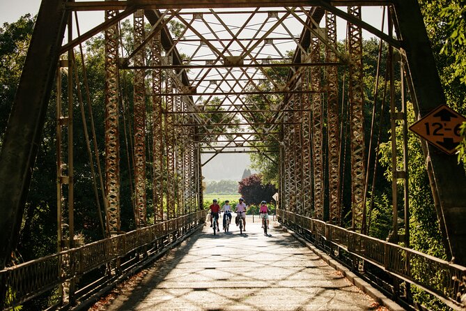 Guided Electric Bike Wine Tour Through Sonoma County - Discovering the Charm of Healdsburg