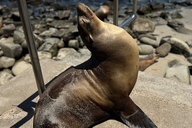 Guided Historic La Jolla Village Walking Tour