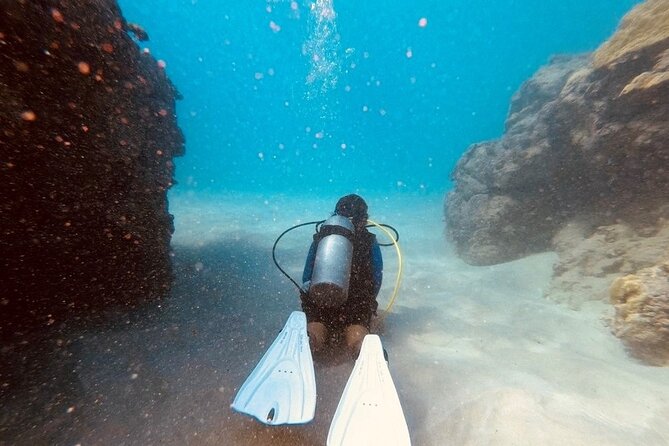 Guided Shore Dive - Location and Meeting Point