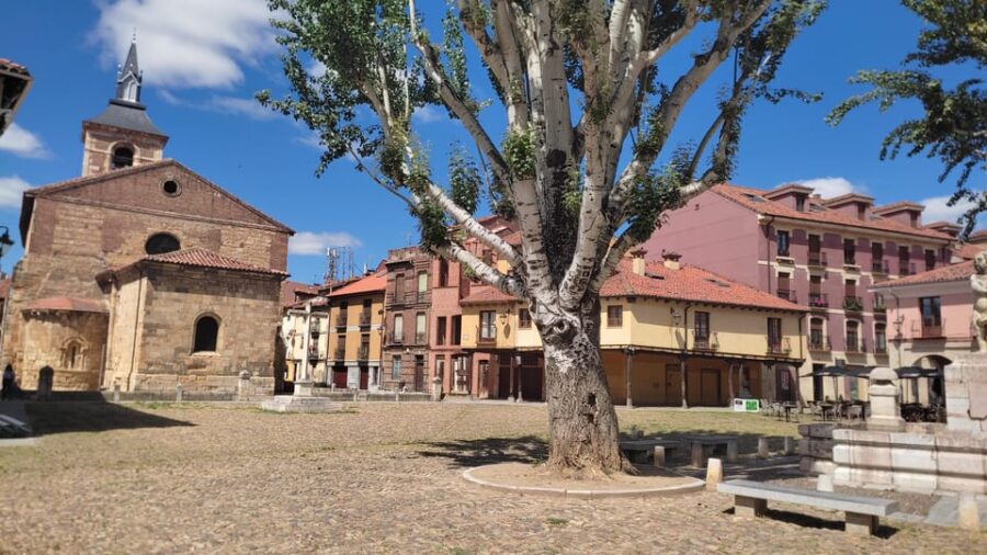 Guided Tour Around León