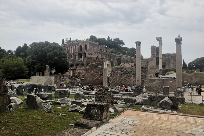 Guided Tour of Roman Forum & Palatine Hill