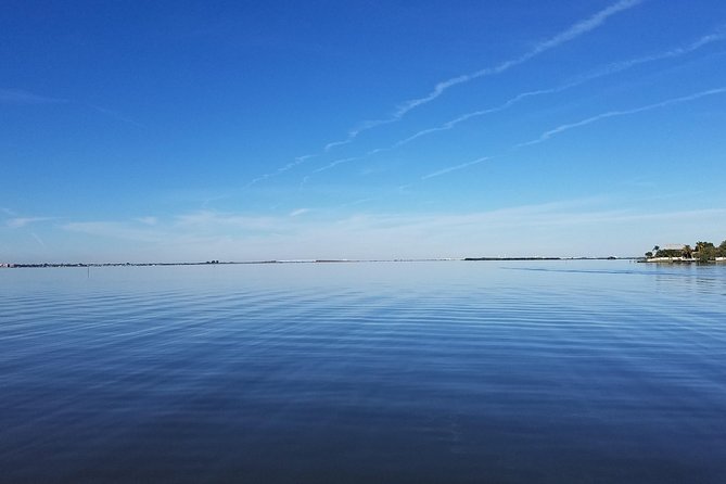 Guided Two Hour Boat Tour of the Indian River Lagoon