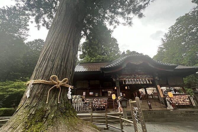 Hakone Mt. Fuji Tour by Car With Pickup and Drop off From Tokyo
