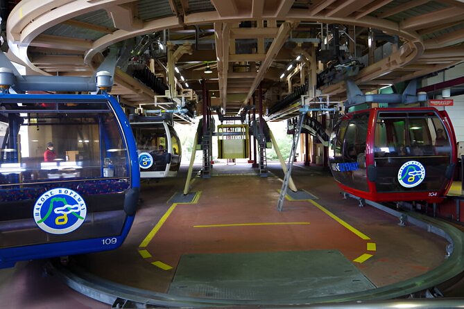 Hakone Sightseeing Private Tour From Tokyo