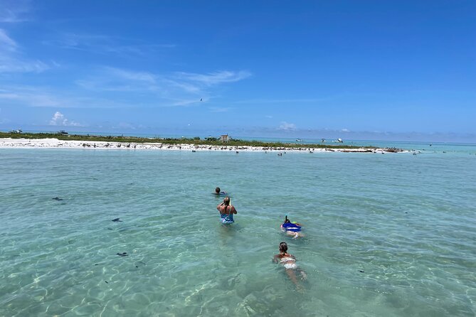 Half Day Eco and Dolphin Boat Tour Review